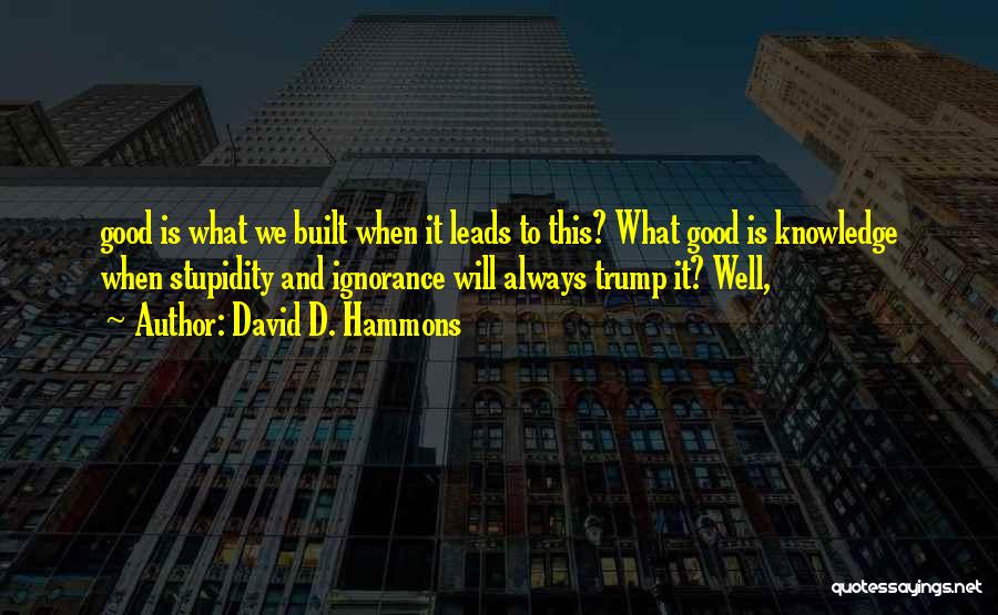 David D. Hammons Quotes: Good Is What We Built When It Leads To This? What Good Is Knowledge When Stupidity And Ignorance Will Always