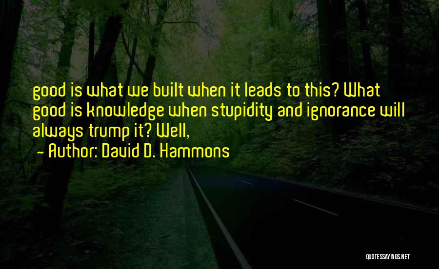 David D. Hammons Quotes: Good Is What We Built When It Leads To This? What Good Is Knowledge When Stupidity And Ignorance Will Always