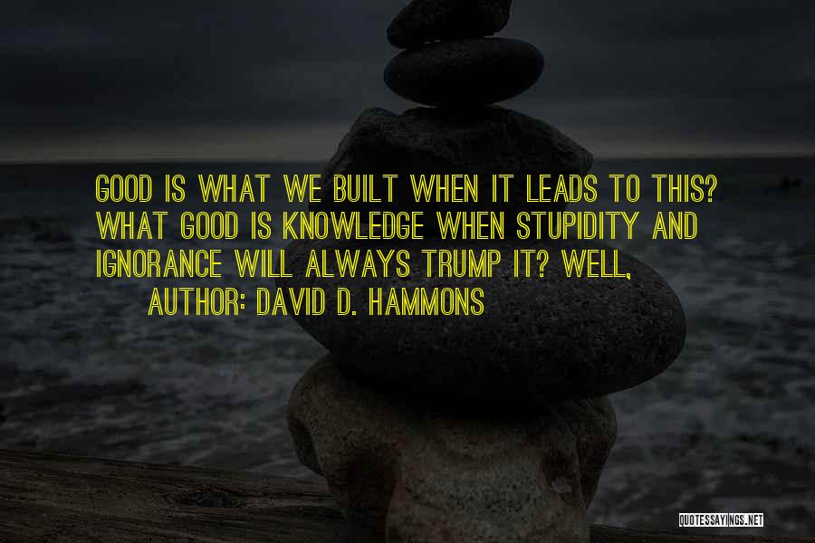 David D. Hammons Quotes: Good Is What We Built When It Leads To This? What Good Is Knowledge When Stupidity And Ignorance Will Always