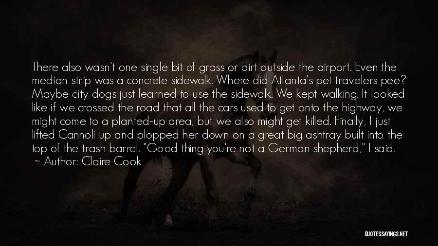 Claire Cook Quotes: There Also Wasn't One Single Bit Of Grass Or Dirt Outside The Airport. Even The Median Strip Was A Concrete