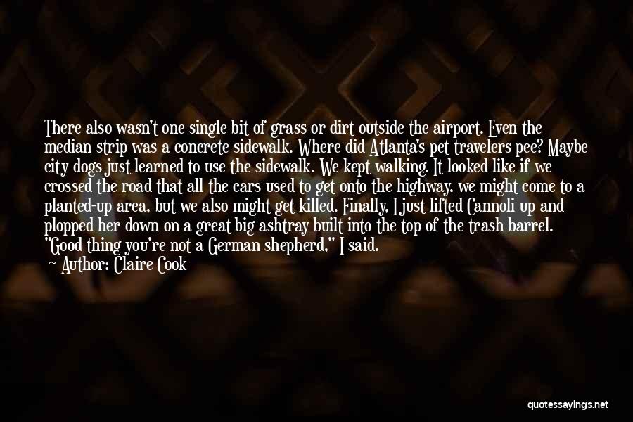Claire Cook Quotes: There Also Wasn't One Single Bit Of Grass Or Dirt Outside The Airport. Even The Median Strip Was A Concrete