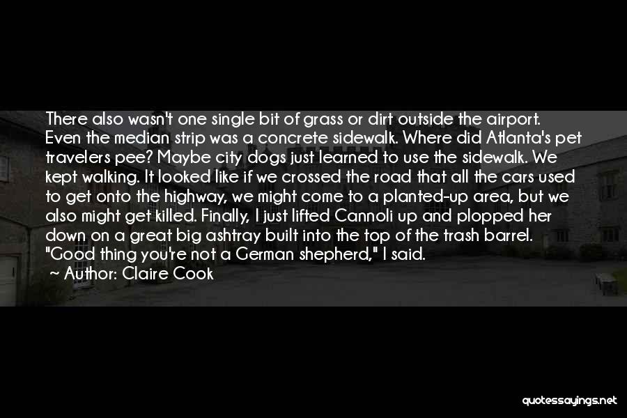 Claire Cook Quotes: There Also Wasn't One Single Bit Of Grass Or Dirt Outside The Airport. Even The Median Strip Was A Concrete