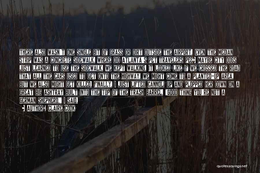 Claire Cook Quotes: There Also Wasn't One Single Bit Of Grass Or Dirt Outside The Airport. Even The Median Strip Was A Concrete