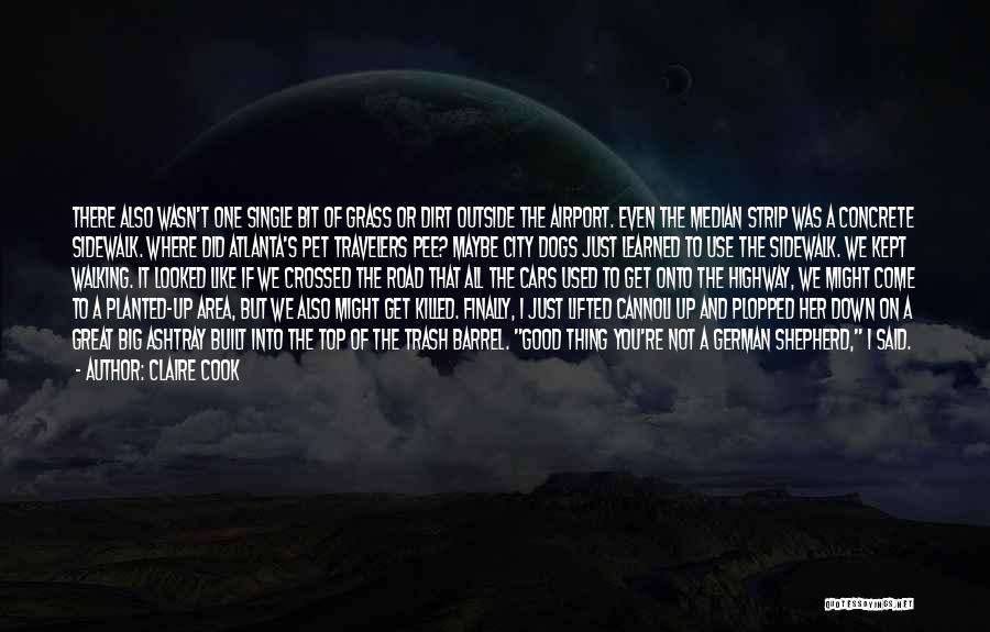 Claire Cook Quotes: There Also Wasn't One Single Bit Of Grass Or Dirt Outside The Airport. Even The Median Strip Was A Concrete