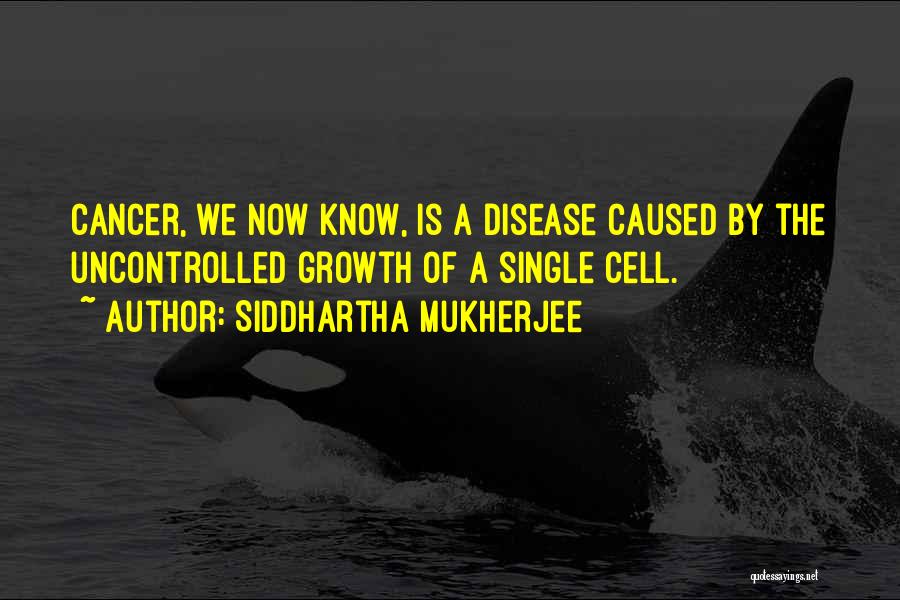 Siddhartha Mukherjee Quotes: Cancer, We Now Know, Is A Disease Caused By The Uncontrolled Growth Of A Single Cell.