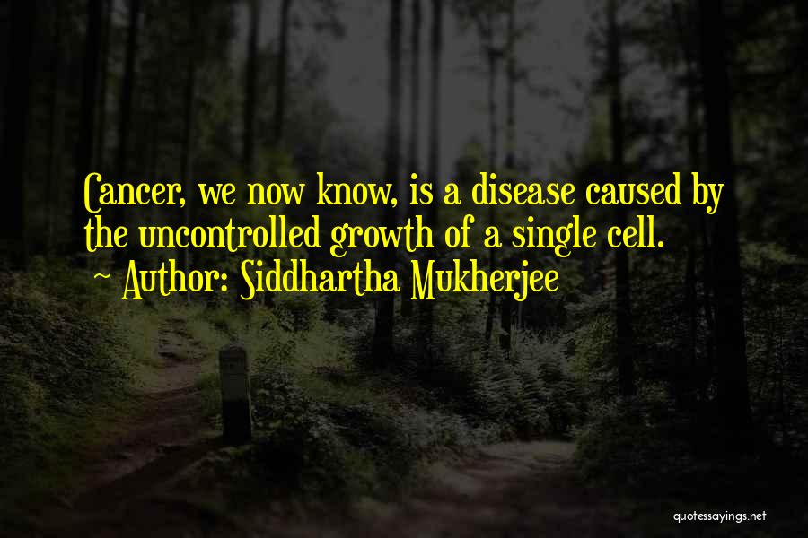 Siddhartha Mukherjee Quotes: Cancer, We Now Know, Is A Disease Caused By The Uncontrolled Growth Of A Single Cell.