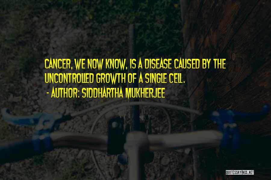 Siddhartha Mukherjee Quotes: Cancer, We Now Know, Is A Disease Caused By The Uncontrolled Growth Of A Single Cell.