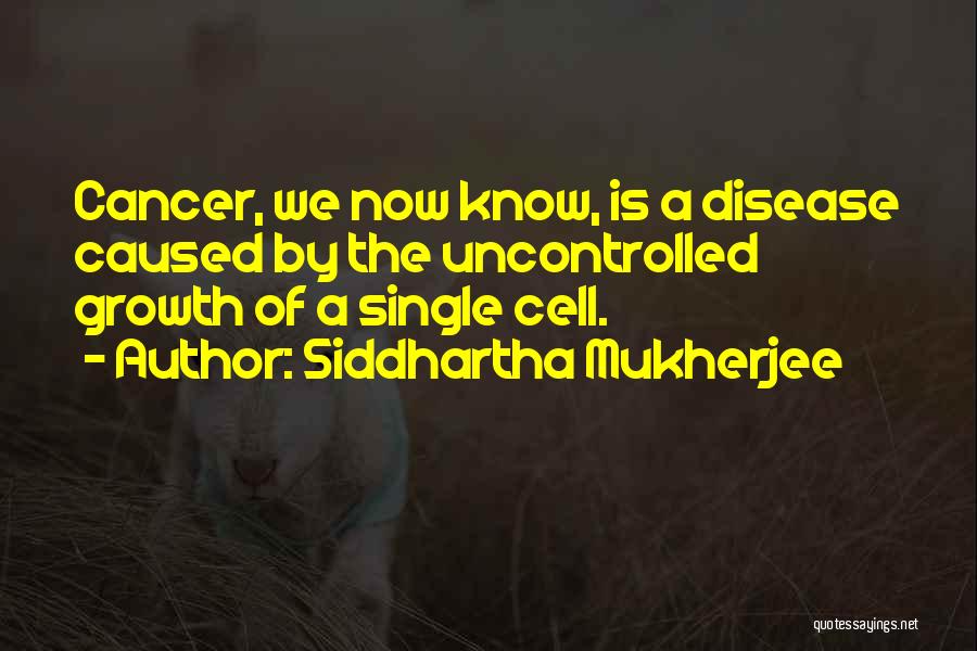 Siddhartha Mukherjee Quotes: Cancer, We Now Know, Is A Disease Caused By The Uncontrolled Growth Of A Single Cell.