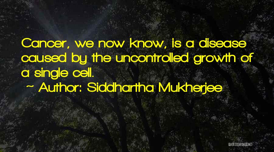 Siddhartha Mukherjee Quotes: Cancer, We Now Know, Is A Disease Caused By The Uncontrolled Growth Of A Single Cell.