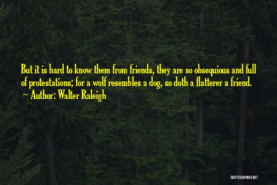 Walter Raleigh Quotes: But It Is Hard To Know Them From Friends, They Are So Obsequious And Full Of Protestations; For A Wolf