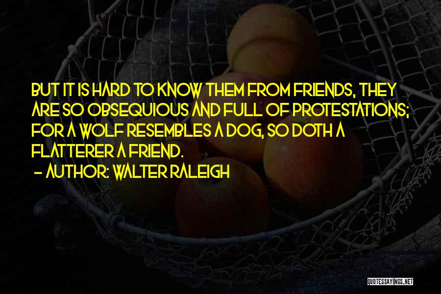 Walter Raleigh Quotes: But It Is Hard To Know Them From Friends, They Are So Obsequious And Full Of Protestations; For A Wolf