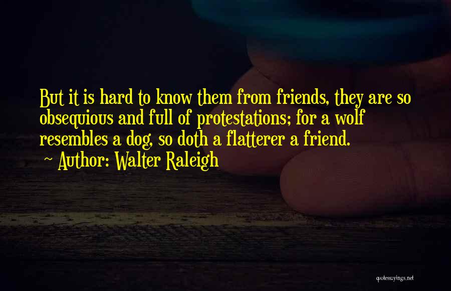 Walter Raleigh Quotes: But It Is Hard To Know Them From Friends, They Are So Obsequious And Full Of Protestations; For A Wolf