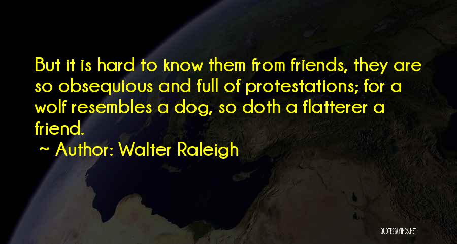 Walter Raleigh Quotes: But It Is Hard To Know Them From Friends, They Are So Obsequious And Full Of Protestations; For A Wolf