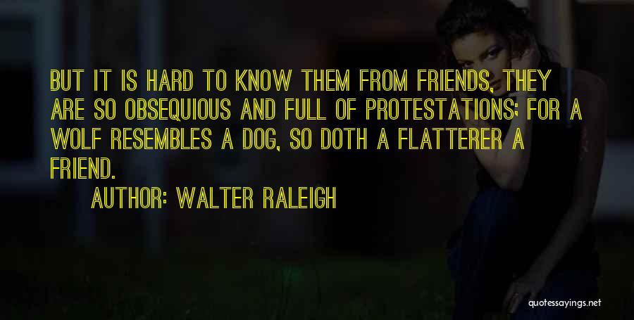 Walter Raleigh Quotes: But It Is Hard To Know Them From Friends, They Are So Obsequious And Full Of Protestations; For A Wolf