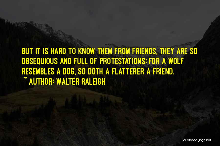 Walter Raleigh Quotes: But It Is Hard To Know Them From Friends, They Are So Obsequious And Full Of Protestations; For A Wolf