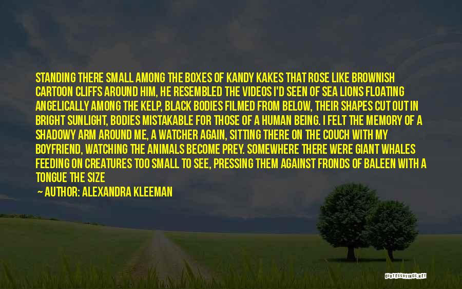 Alexandra Kleeman Quotes: Standing There Small Among The Boxes Of Kandy Kakes That Rose Like Brownish Cartoon Cliffs Around Him, He Resembled The