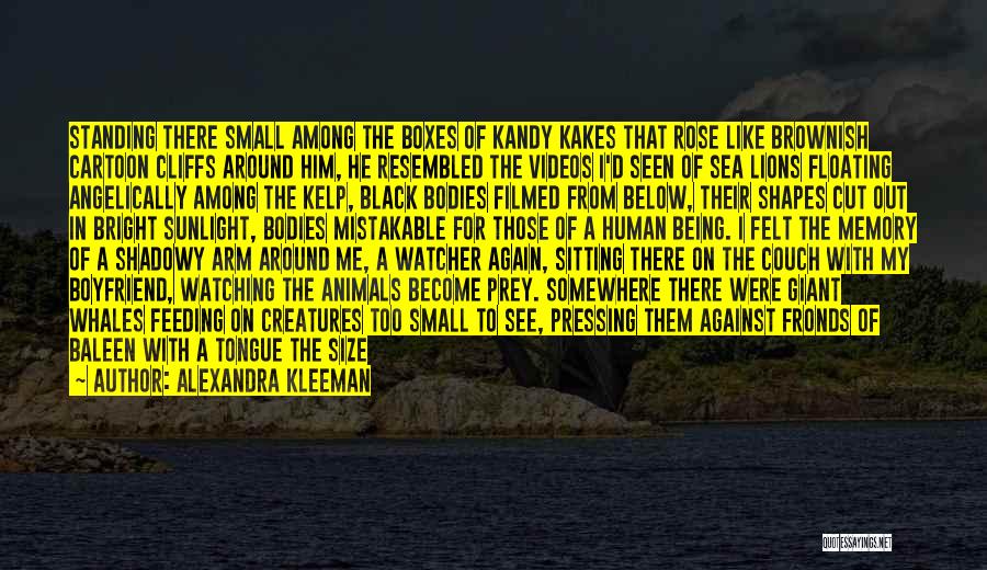 Alexandra Kleeman Quotes: Standing There Small Among The Boxes Of Kandy Kakes That Rose Like Brownish Cartoon Cliffs Around Him, He Resembled The