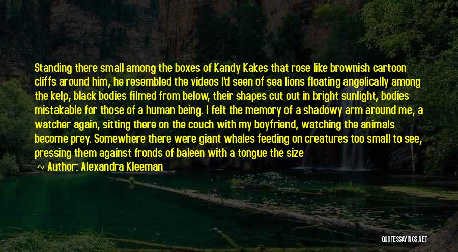 Alexandra Kleeman Quotes: Standing There Small Among The Boxes Of Kandy Kakes That Rose Like Brownish Cartoon Cliffs Around Him, He Resembled The