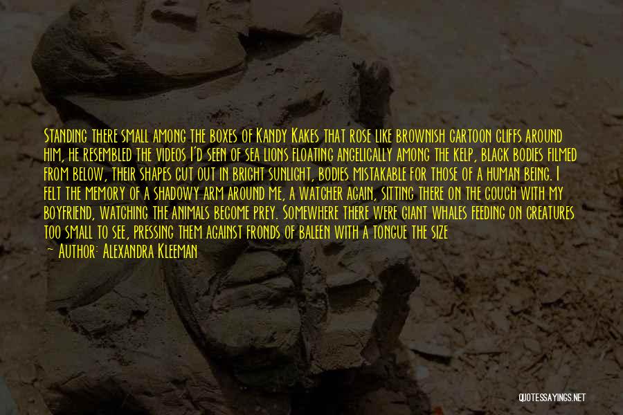 Alexandra Kleeman Quotes: Standing There Small Among The Boxes Of Kandy Kakes That Rose Like Brownish Cartoon Cliffs Around Him, He Resembled The