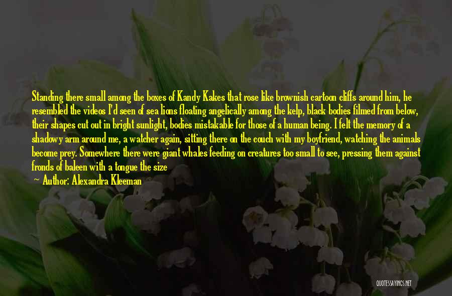 Alexandra Kleeman Quotes: Standing There Small Among The Boxes Of Kandy Kakes That Rose Like Brownish Cartoon Cliffs Around Him, He Resembled The