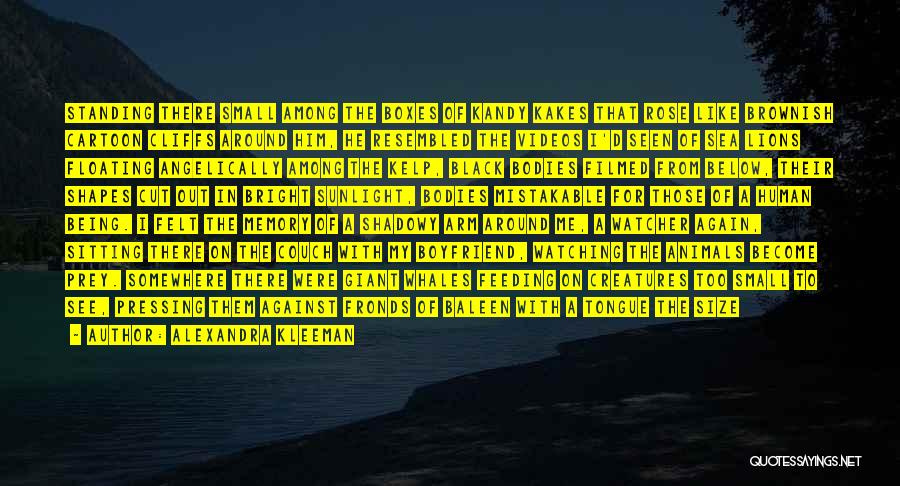 Alexandra Kleeman Quotes: Standing There Small Among The Boxes Of Kandy Kakes That Rose Like Brownish Cartoon Cliffs Around Him, He Resembled The