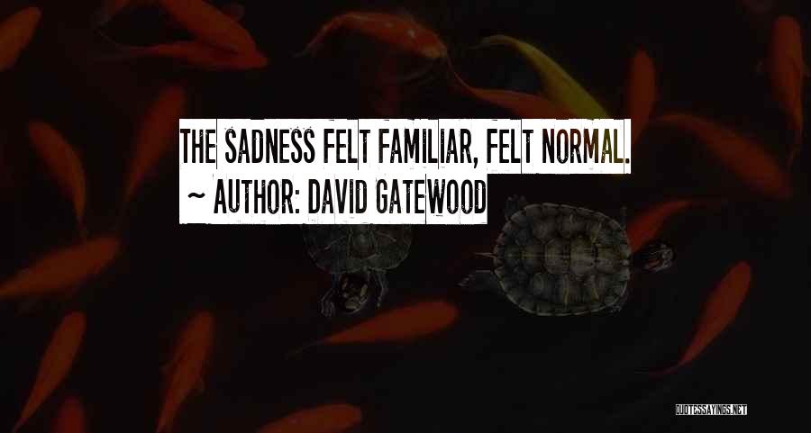 David Gatewood Quotes: The Sadness Felt Familiar, Felt Normal.