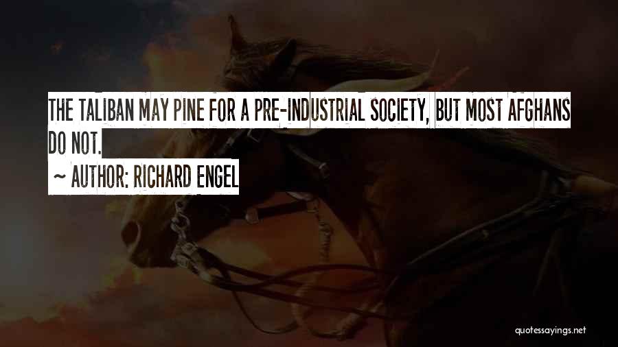 Richard Engel Quotes: The Taliban May Pine For A Pre-industrial Society, But Most Afghans Do Not.