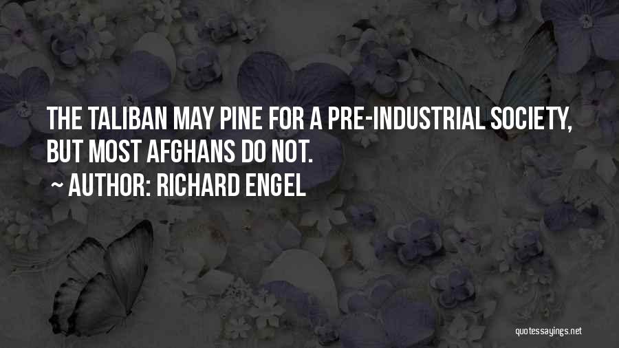 Richard Engel Quotes: The Taliban May Pine For A Pre-industrial Society, But Most Afghans Do Not.