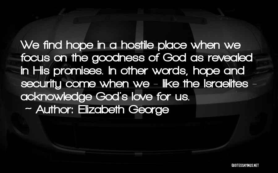 Elizabeth George Quotes: We Find Hope In A Hostile Place When We Focus On The Goodness Of God As Revealed In His Promises.