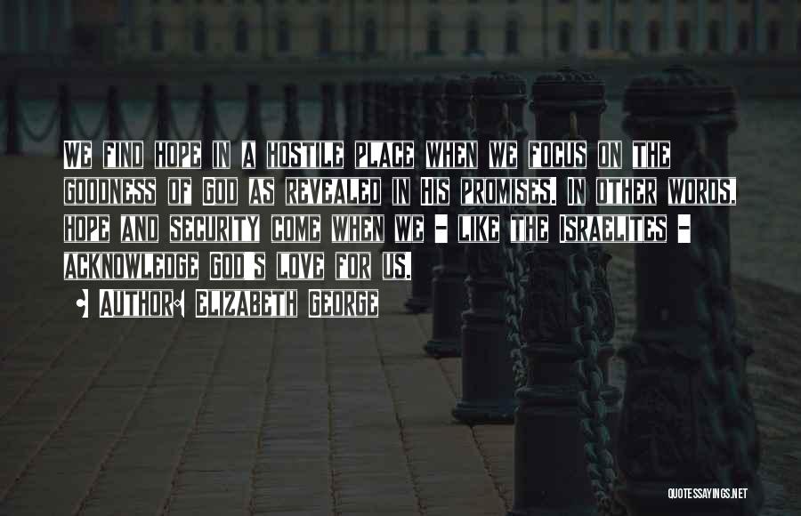 Elizabeth George Quotes: We Find Hope In A Hostile Place When We Focus On The Goodness Of God As Revealed In His Promises.