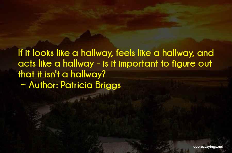 Patricia Briggs Quotes: If It Looks Like A Hallway, Feels Like A Hallway, And Acts Like A Hallway - Is It Important To