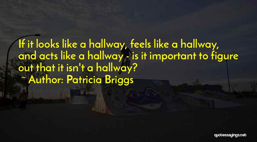 Patricia Briggs Quotes: If It Looks Like A Hallway, Feels Like A Hallway, And Acts Like A Hallway - Is It Important To