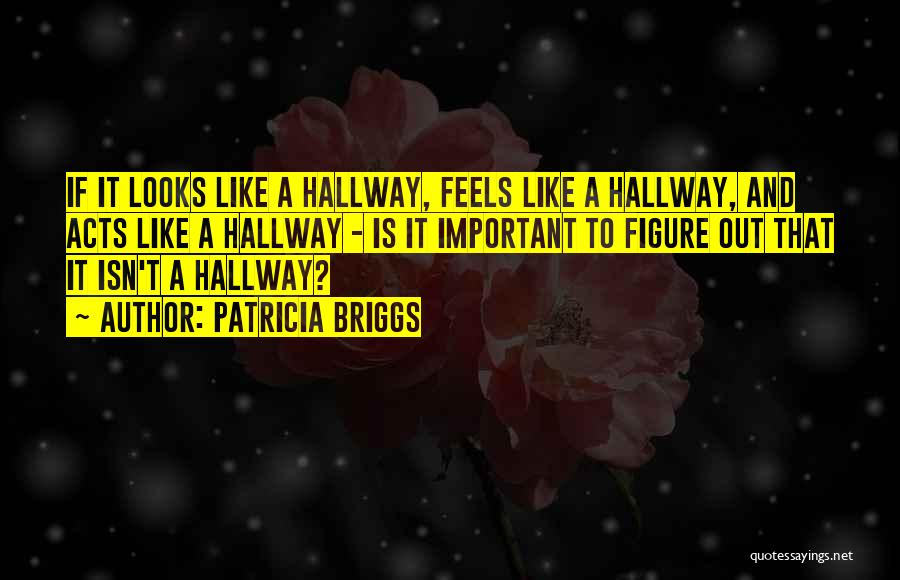 Patricia Briggs Quotes: If It Looks Like A Hallway, Feels Like A Hallway, And Acts Like A Hallway - Is It Important To