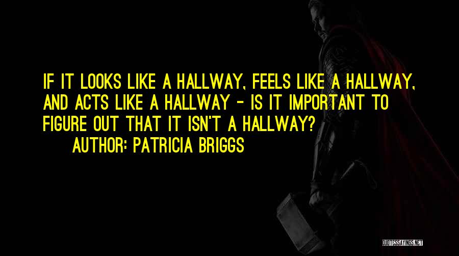 Patricia Briggs Quotes: If It Looks Like A Hallway, Feels Like A Hallway, And Acts Like A Hallway - Is It Important To