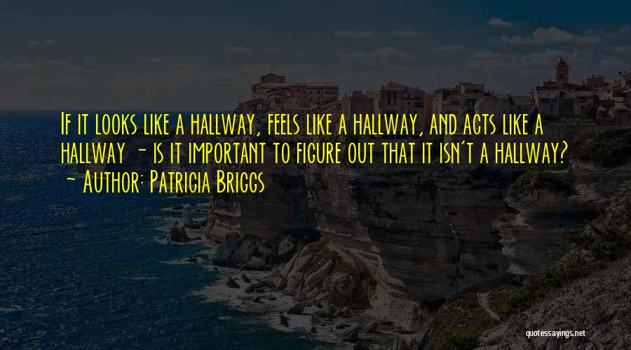 Patricia Briggs Quotes: If It Looks Like A Hallway, Feels Like A Hallway, And Acts Like A Hallway - Is It Important To