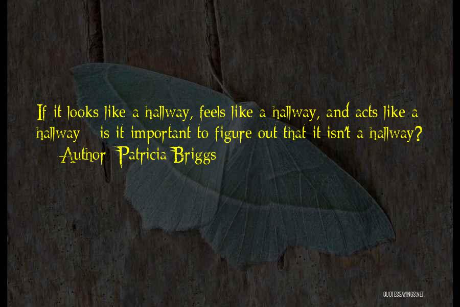 Patricia Briggs Quotes: If It Looks Like A Hallway, Feels Like A Hallway, And Acts Like A Hallway - Is It Important To