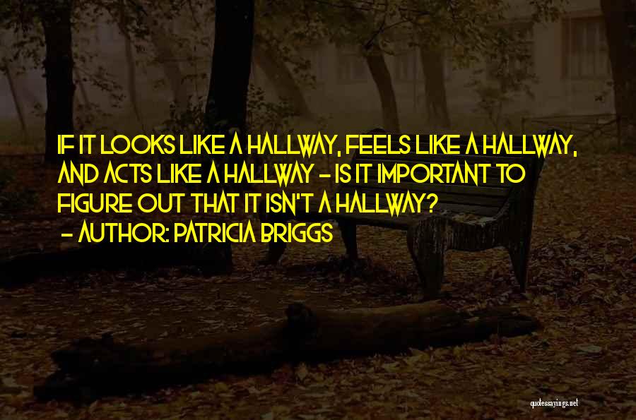 Patricia Briggs Quotes: If It Looks Like A Hallway, Feels Like A Hallway, And Acts Like A Hallway - Is It Important To