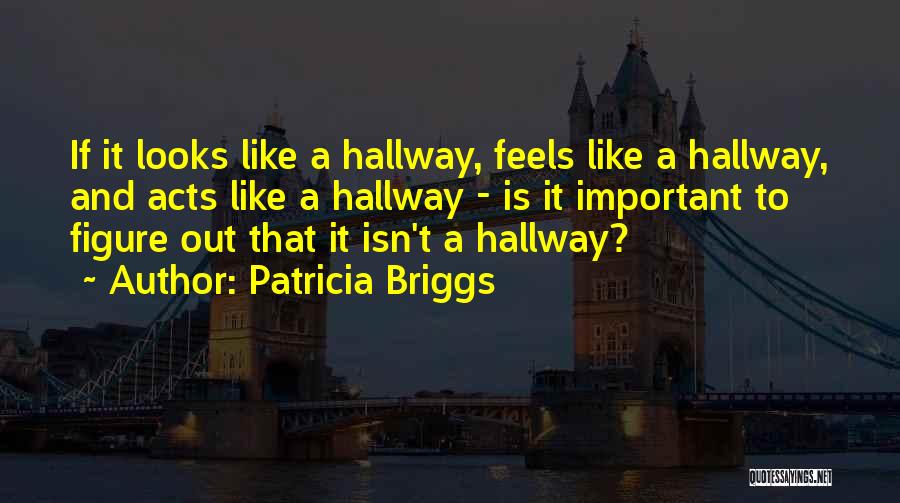 Patricia Briggs Quotes: If It Looks Like A Hallway, Feels Like A Hallway, And Acts Like A Hallway - Is It Important To