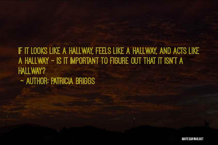 Patricia Briggs Quotes: If It Looks Like A Hallway, Feels Like A Hallway, And Acts Like A Hallway - Is It Important To