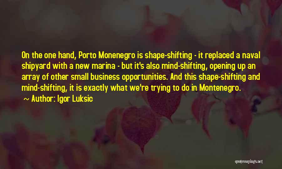 Igor Luksic Quotes: On The One Hand, Porto Monenegro Is Shape-shifting - It Replaced A Naval Shipyard With A New Marina - But