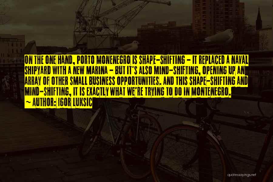 Igor Luksic Quotes: On The One Hand, Porto Monenegro Is Shape-shifting - It Replaced A Naval Shipyard With A New Marina - But