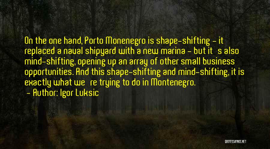 Igor Luksic Quotes: On The One Hand, Porto Monenegro Is Shape-shifting - It Replaced A Naval Shipyard With A New Marina - But