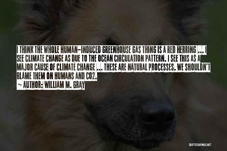 William M. Gray Quotes: I Think The Whole Human-induced Greenhouse Gas Thing Is A Red Herring ... I See Climate Change As Due To