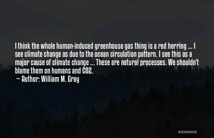 William M. Gray Quotes: I Think The Whole Human-induced Greenhouse Gas Thing Is A Red Herring ... I See Climate Change As Due To