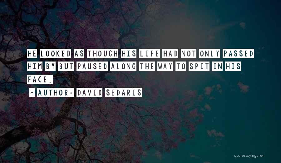 David Sedaris Quotes: He Looked As Though His Life Had Not Only Passed Him By But Paused Along The Way To Spit In