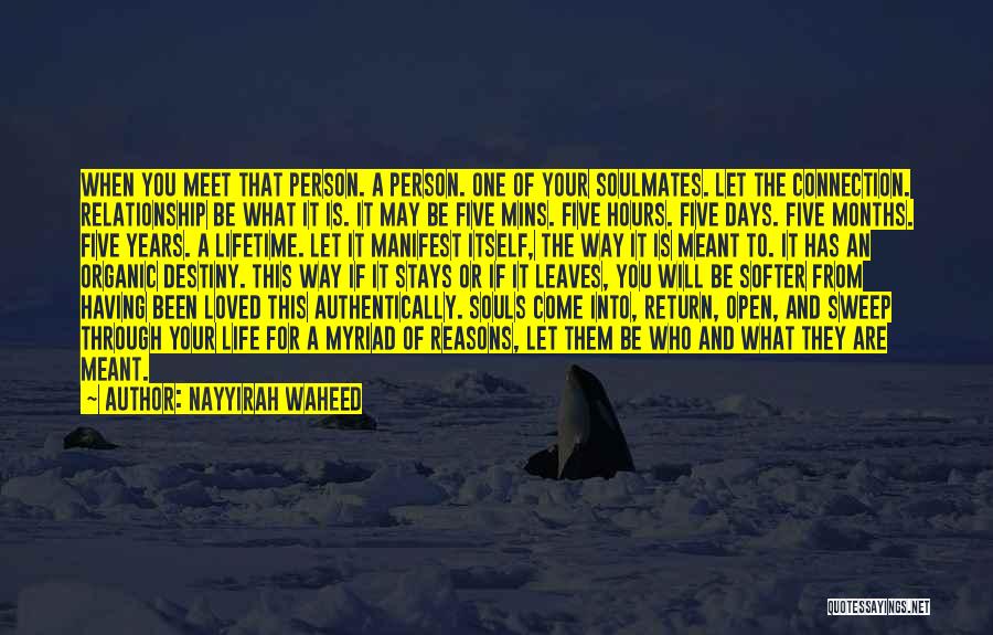 Nayyirah Waheed Quotes: When You Meet That Person. A Person. One Of Your Soulmates. Let The Connection. Relationship Be What It Is. It