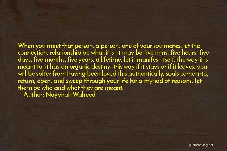 Nayyirah Waheed Quotes: When You Meet That Person. A Person. One Of Your Soulmates. Let The Connection. Relationship Be What It Is. It