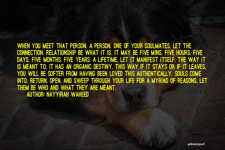 Nayyirah Waheed Quotes: When You Meet That Person. A Person. One Of Your Soulmates. Let The Connection. Relationship Be What It Is. It