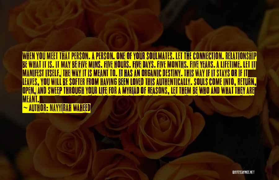 Nayyirah Waheed Quotes: When You Meet That Person. A Person. One Of Your Soulmates. Let The Connection. Relationship Be What It Is. It