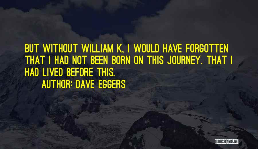 Dave Eggers Quotes: But Without William K, I Would Have Forgotten That I Had Not Been Born On This Journey. That I Had